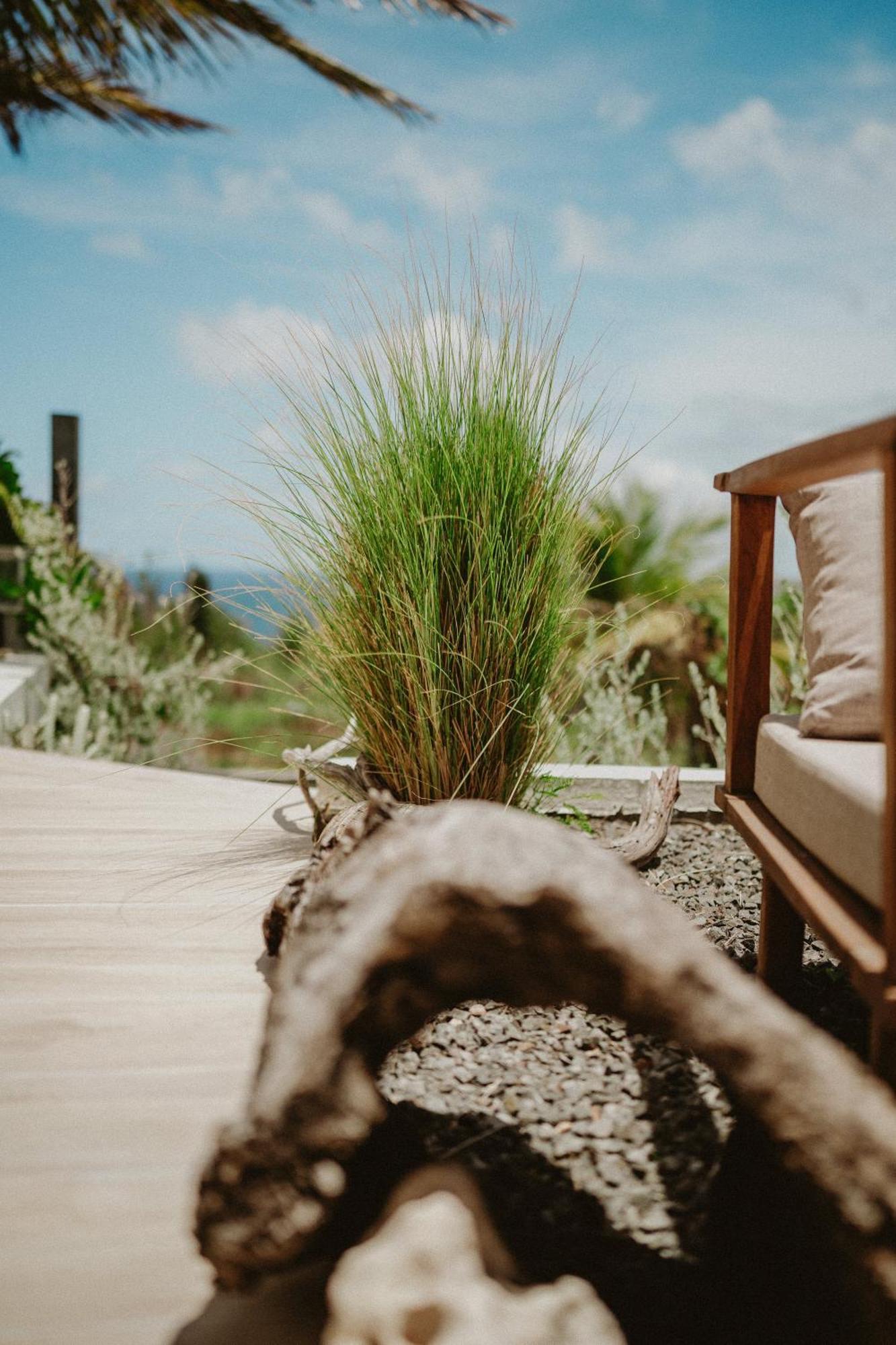 Villa Manika Vue Mer เลอ มูเล่ ภายนอก รูปภาพ