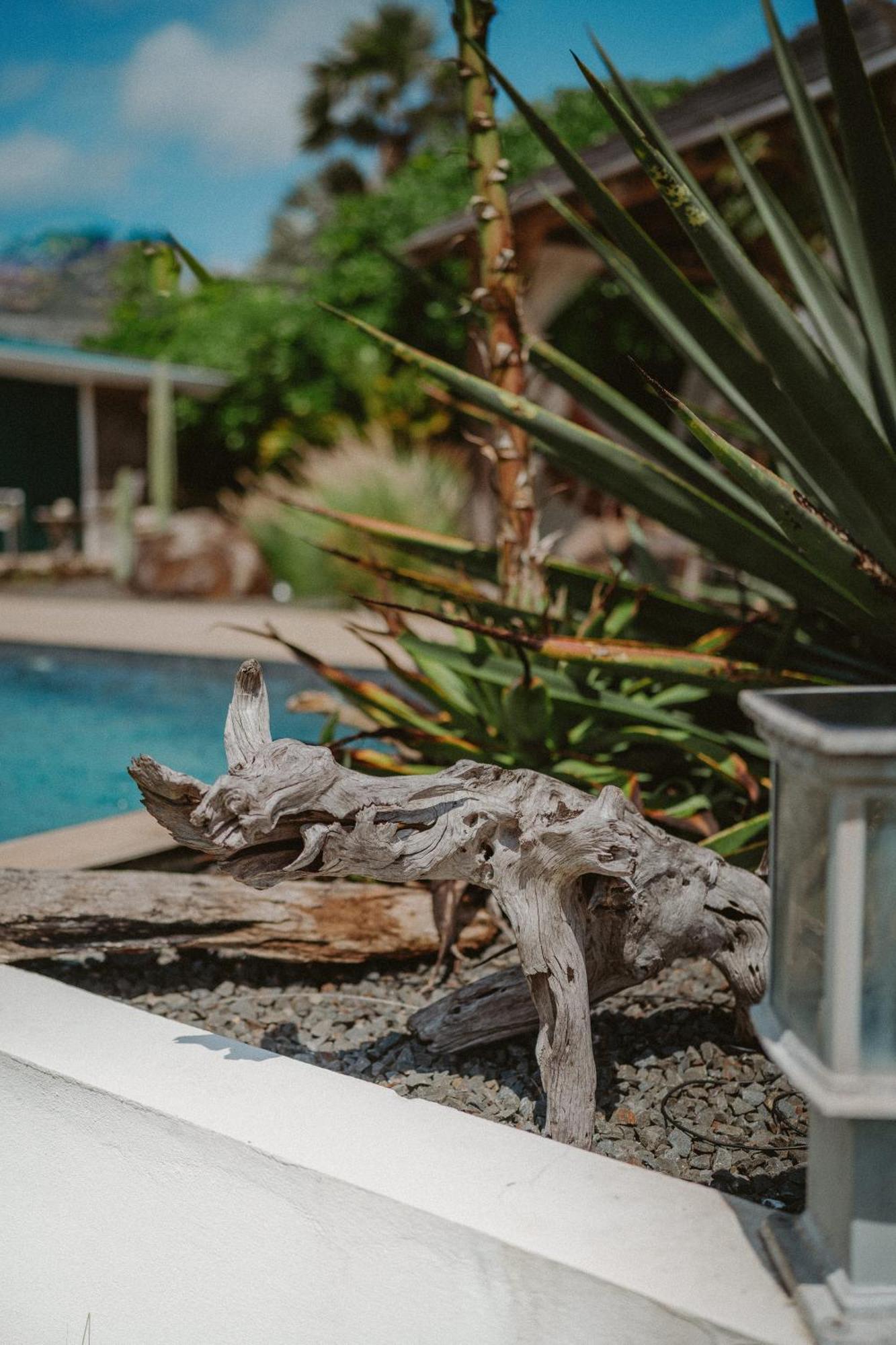 Villa Manika Vue Mer เลอ มูเล่ ภายนอก รูปภาพ